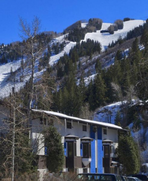 Отель St Moritz Lodge and Condominiums  Аспен